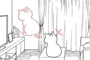 畫貓漫畫的漫畫家表示冤枉，《被編輯要求好好畫貓不要偷懶》
