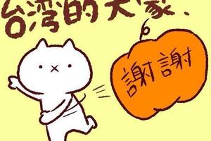 台灣網友超熱情《反應過激的貓》推特粉絲暴增嚇壞日本繪師了(笑)