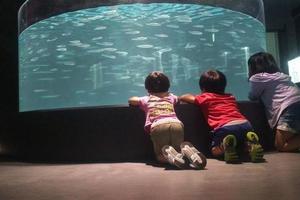 日本舊小學被改造成水族館，網友：看起來像學校被魚類入侵了！