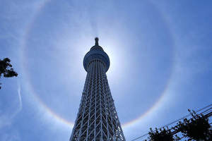 《東京晴空塔》出現日暈美景　日本網友擔心是地震前兆！？