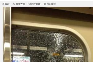 日本天王寺電車車窗遭薯條擊穿，宅：琦玉老師丟的那根！