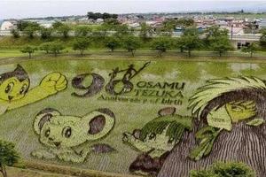 日本鄉民創作的稻田藝術作品，這才是真正的高手在民間！