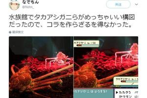 日本網友在水族館發現酷似《精靈寶可夢》的一幕！忍不住ps了一下