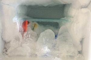 日本網民吐槽：成功從時隔兩週後打開的冰箱中救出了我的午餐