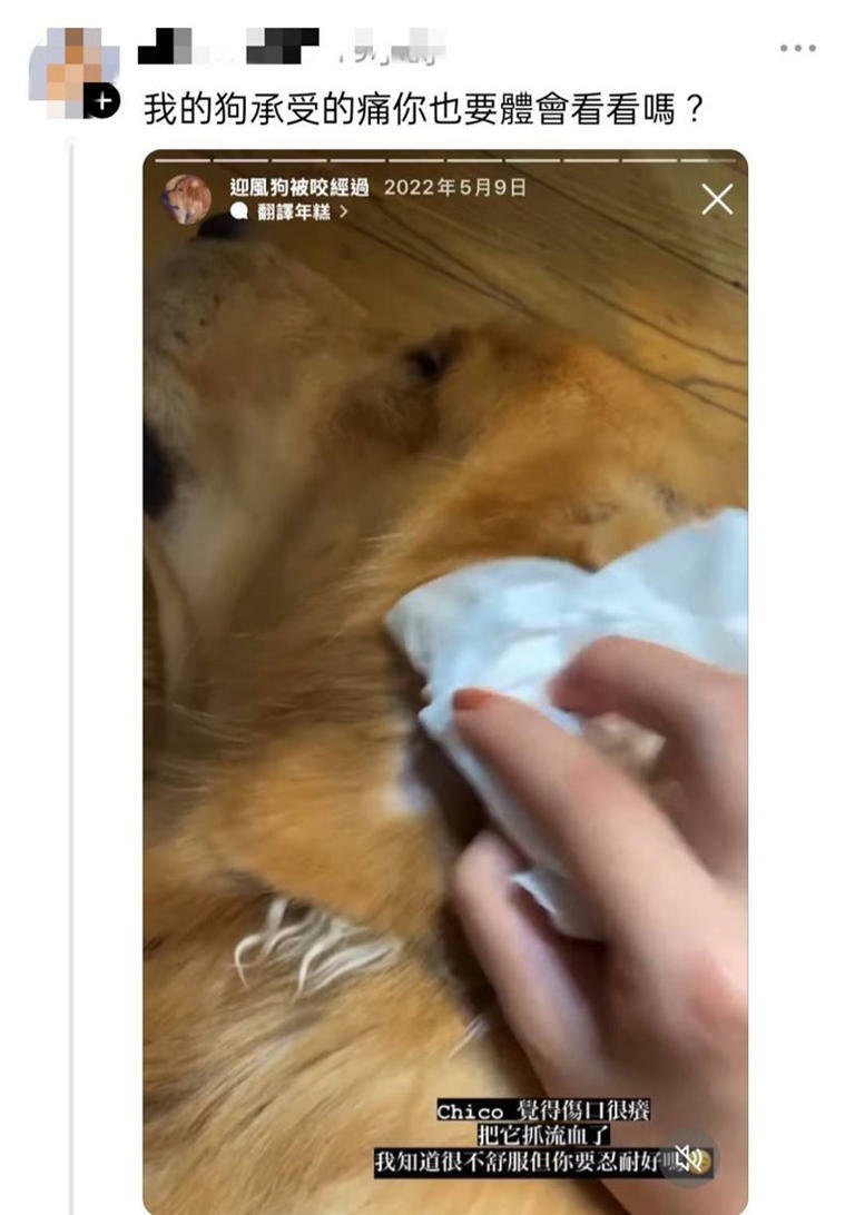 多位飼主控訴Ray Jiang愛犬行為。（圖／翻攝自Threads）