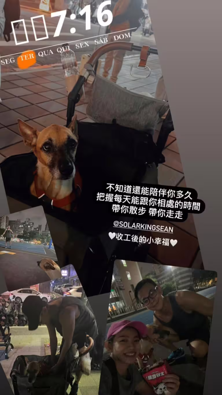 米可白分享和男友孫綻一起陪愛犬散步的照片。(圖/翻攝自米可白IG) 米可白分享和男友孫綻一起陪愛犬散步的照片。(圖/翻攝自米可白IG)