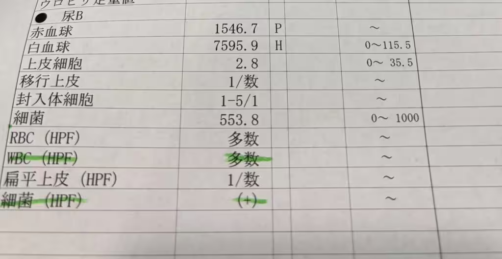 %e7%94%a8%e9%9b%a8%e6%b4%97%e9%a0%ad