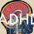 成人ADHD造成的影響及治療