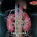 慢性腎病已超1億人！6大腎臟「殺手」就在你身邊！早發現、早治療，遠離腎衰竭