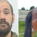 39歲男闖農場「強制上馬」被抓又回頭發洩　檢察官怒了：這匹馬至少被弄12次