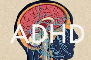 成人ADHD造成的影響及治療