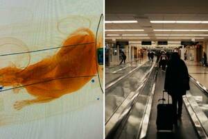 機場安檢螢幕出現「圓滾滾生物」　打開行李袋嚇壞：災難級錯誤