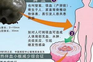 已進入高發期！江西一地最新提醒