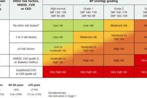 歐洲的血壓控制目標更嚴格！我們對待高血壓太「寬容」了！