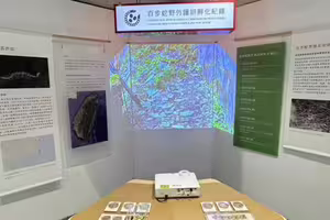 百步蛇野外護卵孵化紀錄片爆紅 入圍台灣生態環境影展雙獎