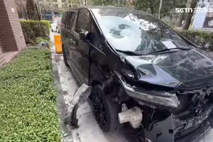 洗車工無照、酒駕開「阿法」撞死醫大生又肇逃！押150天1原因再押2個月