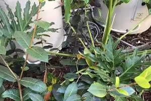 照片中有一條蛇　網友找到眼睛脫窗：我現在應該被咬了