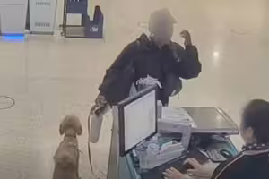 她將狗狗拴行李秤「自行登機」 牠苦等10天「迎來新結局」 她將狗狗拴行李秤「自行登機」 牠苦等10天「迎來新結局」