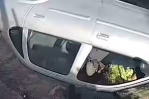 阿嬤開車轉彎煞不住　他破窗噴飛被重壓