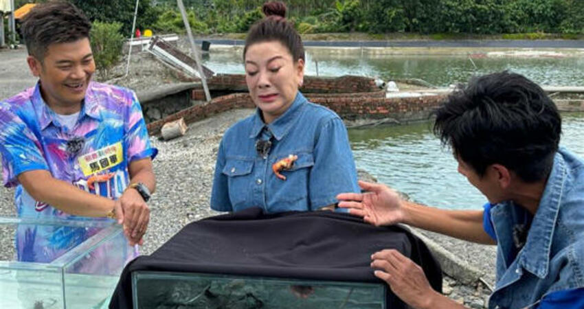 獨家／開戰乃哥遭爆恐丟主持棒！楊繡惠霸氣反擊不忍了：隨時可退休