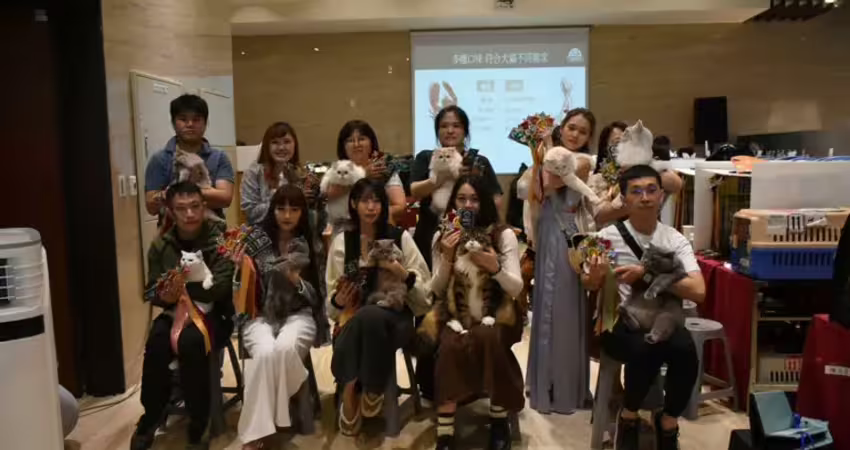 全台最大國際貓展登場 超過200隻萌貓攻佔南台灣