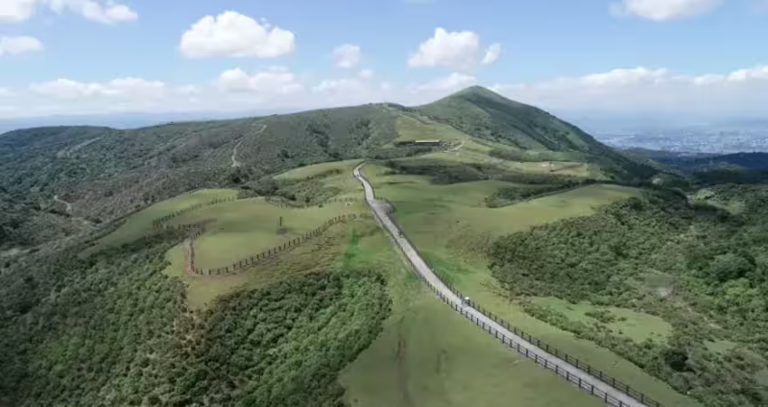 陽管處震怒！百萬YTR陽明山上放鞭炮嚇蝙蝠