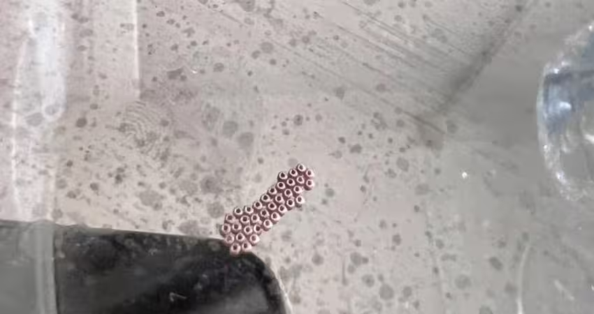 廚房突出現35粒「塑膠珠珠」　網認出本尊嚇到雞皮疙瘩：快處理