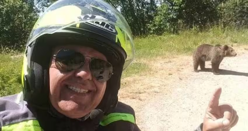 男遊客和熊寶寶自拍　遭母熊拖到森林咬死