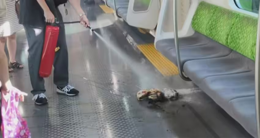 行動電源又爆自燃！出事「產品型號」曝光　火災事故已多達16次
