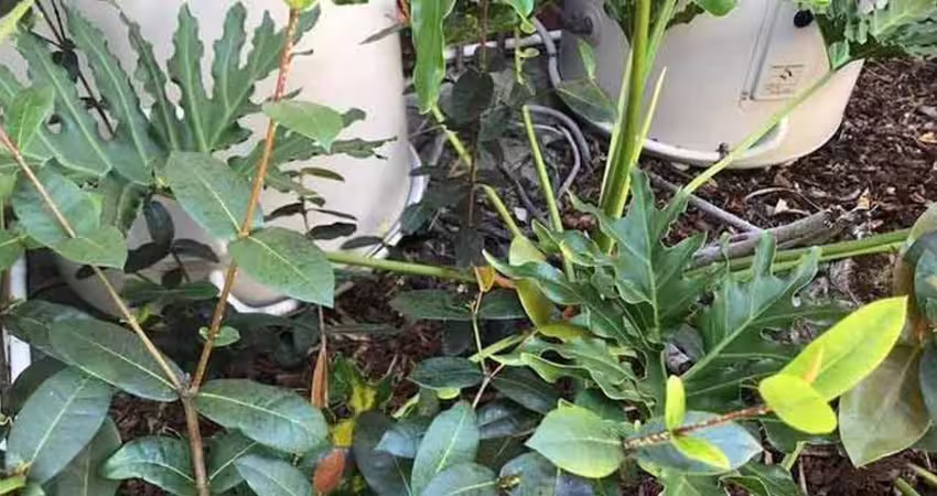 照片中有一條蛇　網友找到眼睛脫窗：我現在應該被咬了
