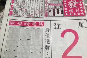 2/12  馬上發特刊-六合彩參考