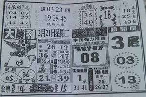 2/21  大勝利-六合彩參考