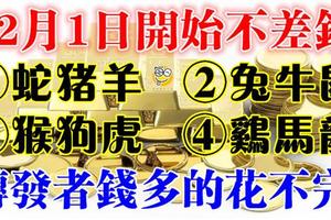 12月1日開始不差錢，發財好時機，旺到不能再旺！錢多的花不完！