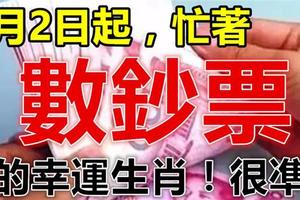 2月2日起，財富大增，忙著數鈔票的幸運生肖！