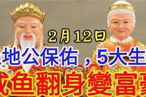 2月12日， 土地公保佑， 註定大發一筆橫財，鈔票堆成山，鹹魚翻身變富豪的5生肖