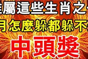 誰屬這些生肖之一，4月怎麼躲都躲不過中頭獎。你有上榜嗎？