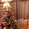 20 位天才飼主發明《絕頂撇步》保護家中「聖誕樹免受惡棍貓狗魔爪破壞」！
