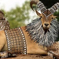 「熱愛大自然生命」的男生獨創《結合野生動物和非洲部落藝術的塗鴉》！