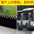 公車「窗戶上的黑點」做什麼用？網友說出「正確解答」...原來還不只是好看而已！