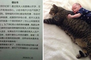 妻子懷孕竟要求鄰居「把貓狗送走」，正要動怒時...這住戶的「超強回覆」讓所有人都跪了！