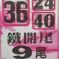 12/15 鐵尾  六合參考