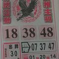 1/2 神鷹   六合參考