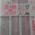 1/2 現代期報 六合參考