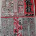 1/30 龍報  六合參考