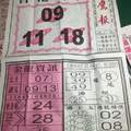 2/4 少年鷹報  六合參考