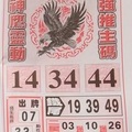 2/27 神鷹  六合參考