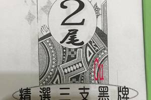 1/5 黑牌孤尾  六合參考