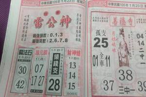 1/23 雷公神+善隱寺  六合參考