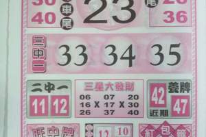 1/26 六合孤支   六合參考