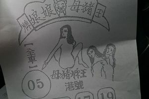 1/26 豬母娘娘  六合參考